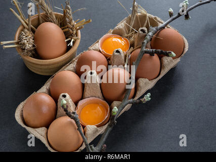 chicken eggs in a cardboard grid Stock Photo