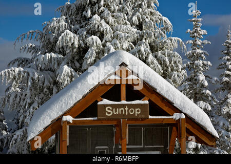WA15403-00...WASHINGTON - Snow covered trees around the snow covered parking lot and outhouse in the parking lot of Suntop Mountain. Stock Photo