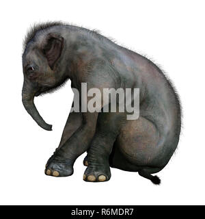 3D Rendering Indian Elephant Baby on White Stock Photo