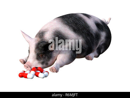 3D Rendering Pig and Pills on White Stock Photo