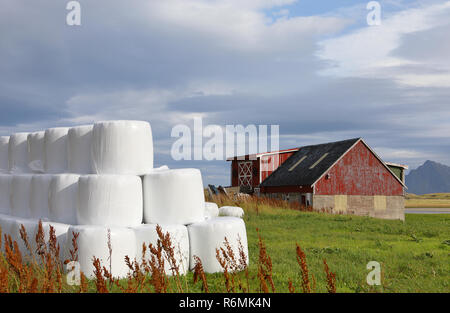 Hay bales packed in white plastic wrap and old red farm on green field at background. Stock Photo