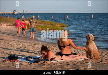 Women sunbathe with their dog, May 8, 2011 on Front Beach in Ocean Springs, Mississippi. Stock Photo