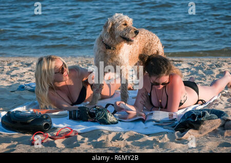 Women sunbathe with their dog, May 8, 2011 on Front Beach in Ocean Springs, Mississippi. Stock Photo