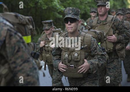 U.S. Marine Sgt. Kassie McDole a combat videographer with Headquarters Battalion, 2d Marine Division (2d MARDIV) walks in formation as theMarines and Sailors of Headquarters Battalion 2d MARDIV, conduct a 12 mile conditioning hike on Camp Lejeune, N.C., May 19, 2017. The Marines and Sailors regularly conduct hikes in order to maintain their combat effective readiness and build unit cohesion. ( U.S. Marine Corps Stock Photo