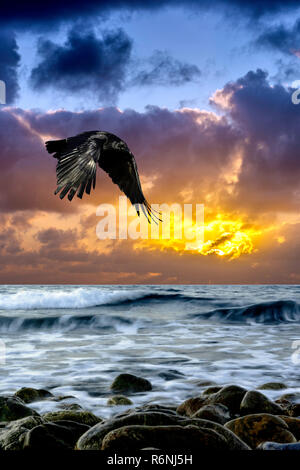 Dramatic sunrise over the sea with flying raven Stock Photo