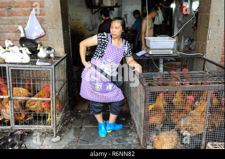 04.08.2012, Chongqing, China, Asia - A female butcher is standing in front of a butcher shop that sells poultry. Stock Photo