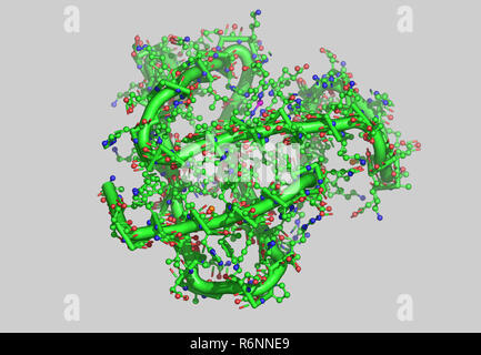 vitis vinifera molecular model Stock Photo