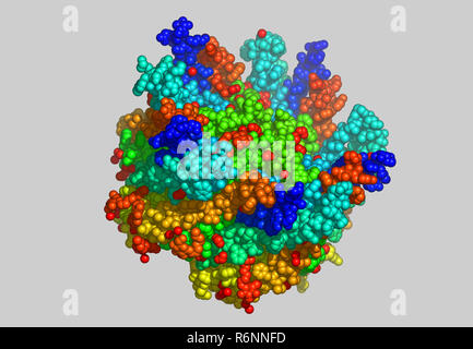 vitis vinifera molecular model Stock Photo