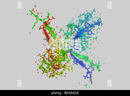 vitis vinifera molecular model Stock Photo