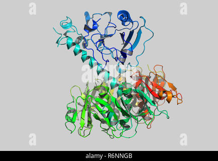 vitis vinifera molecular model Stock Photo