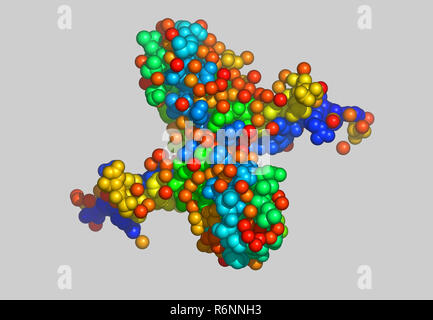 vitis vinifera molecular model Stock Photo