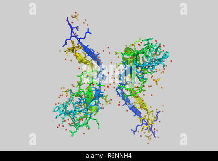 vitis vinifera molecular model Stock Photo