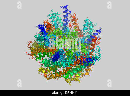 vitis vinifera molecular model Stock Photo