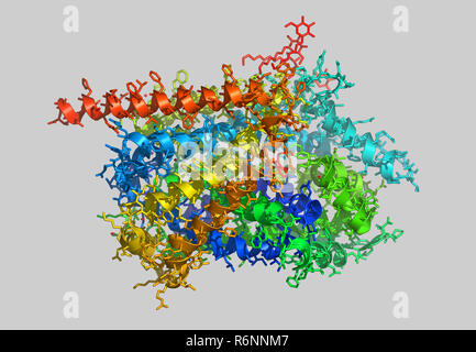 vitis vinifera molecular model Stock Photo