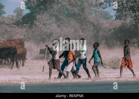 NAMIBIA, MBEYO, MAY 12: An unidentified dirty and poor Namibiann children rearing cows near town Rundu. Kavango region is the highest poverty level in Stock Photo