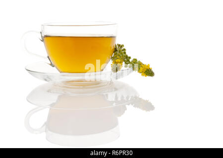 Common agrimony tea isolated Stock Photo - Alamy