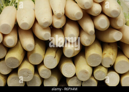 Japanese radish or daikon is a long white root vegetable mainly grown in south east Asia and used in oriental cuisine, on a market. Stock Photo
