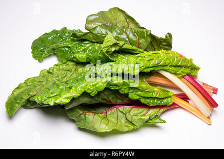 Rainbow swiss chard, mangold beetroot leaves Stock Photo