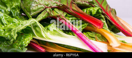 Rainbow swiss chard, mangold beetroot leaves Stock Photo