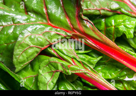 Rainbow swiss chard, mangold beetroot leaves Stock Photo