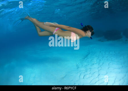 Young beautiful woman swimming under water, Indian Ocean, Maldives Stock Photo