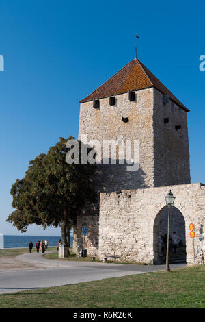 City gate, fortified defence tower on medieval city wall, Unesco World Heritage Site, Visby, Gotland Island, Sweden Stock Photo