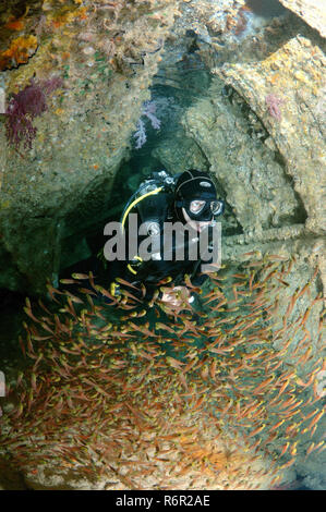 A diver and Glassy Sweepers (Pempheris schomburgkii) in the ship's hold shipwreck 'SS Dunraven', Red Sea, Egypt Stock Photo
