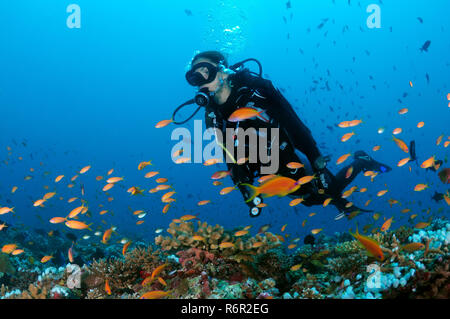 Young woman diver swimming over the coral reef and looking at a flock of brightly colored fish, Indian Ocean, Maldives Stock Photo