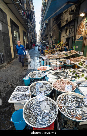 A fishmongers stall in the market on the Via Pignasecca on the northern edge of the Quartieri Spagnoli, Spanish Quarters, Naples, Italy. Stock Photo