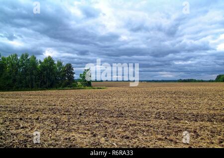 Sloping field in autumn in Russia Stock Photo