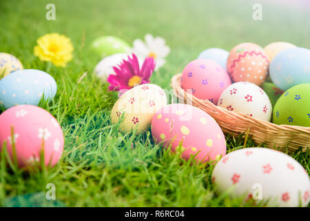 Happy easter!  Closeup Colorful Easter eggs in nest on green grass field during sunset background. Stock Photo