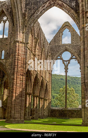 Tintern Abbey, Wales, on the banks of the River Wye. Founded by Walter de Clare, Lord of Chepstow, on 9 May 1131. The 2nd Cistercian abbey in Britain. Stock Photo