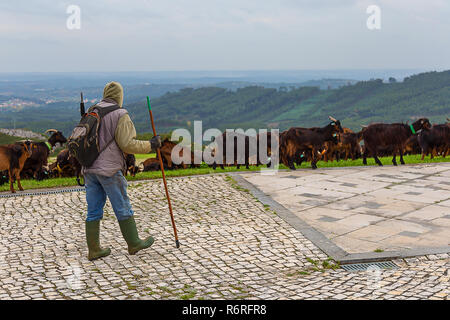 Goat's Shepherd Tending His Flock In a Cloudy Day Stock Photo