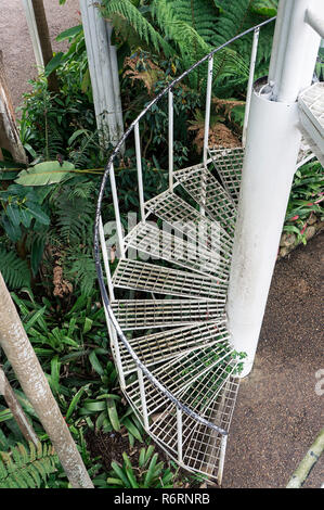 stairs spiral metallic  indoors Botanical Garden Curitiba Brazil Stock Photo