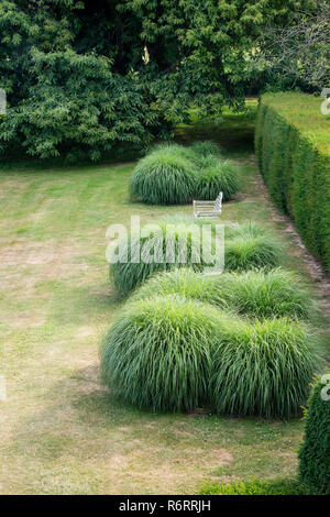 Garden seat and clumps of ornamental grasses in 18th century Goodnestone estate Stock Photo