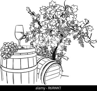 Vine barrel, glass and tree drawing, hand-drawn vector food illustration for vine label and social media marketing Stock Vector