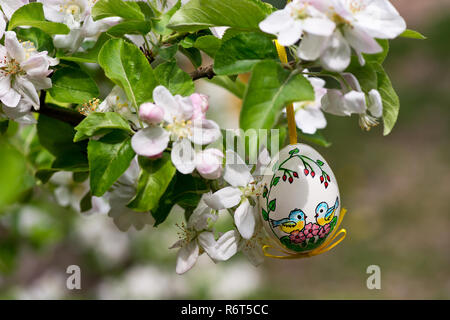 Easter egss hanging on the twig of apple tree in the garden Stock Photo