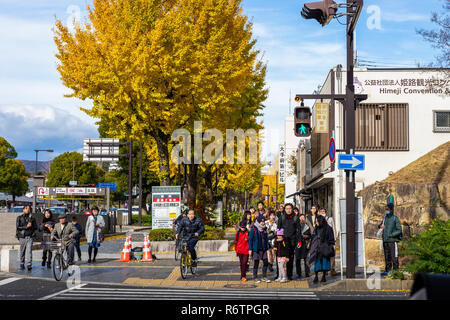 Himeji, Hyogo, Japan - November 23, 2018: Tourists waiting traffic light at pedestrain crossing on street decorated by yellow leaf trees. Stock Photo