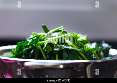 Spinach, The legend of the high iron content Stock Photo