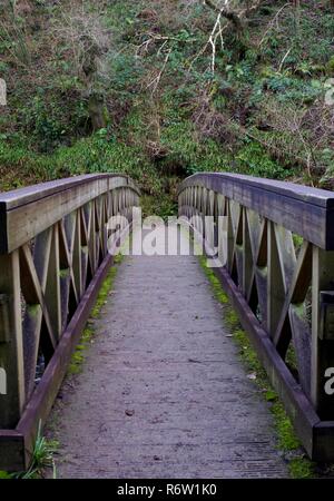 Wooden Footbridge over the East Lyn River in a Wooded Valley. Exmoor National Park, North Devon, UK. Stock Photo