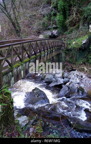 Wooden Footbridge over the East Lyn River in a Wooded Valley. Exmoor National Park, North Devon, UK. Stock Photo