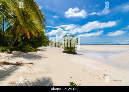 Sandy paradise beach of azure turquoise blue shallow lagoon, North Tarawa atoll, Kiribati, Gilbert Islands, Micronesia, Oceania. Palm trees, mangroves