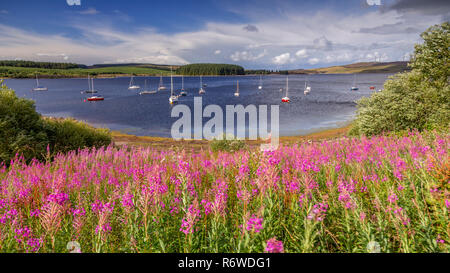 Boats moored on Llyn Brenig reservoir, North Wales on a windy day Stock Photo