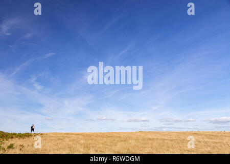 Walker at Penrhos Coastal Park, Anglesey, North Wales Stock Photo