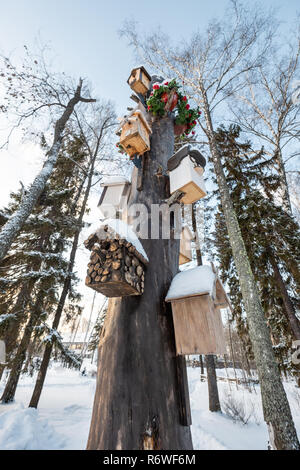 Many birdhouses, for birds and feeders on the tree. Houses for birds in the winter under the snow on the tree. Bird protection in the park with birds nesting-boxes collection. Stock Photo