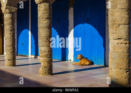 Fragments from the alleys of the medina in Essaouira, Morocco Stock Photo