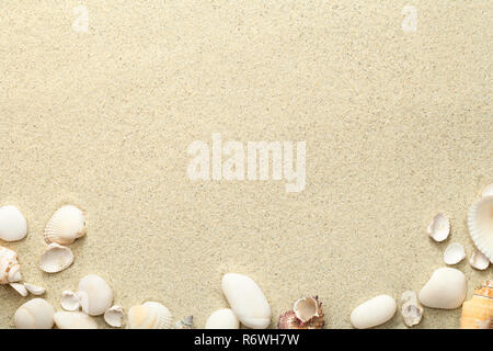 sand,beach background with shells and stones Stock Photo