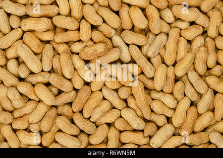 Peanuts with shell, background. Also groundnut or goober. Pile of unshelled, dry roasted whole pods of Arachis hypogaea, used as snack. Stock Photo