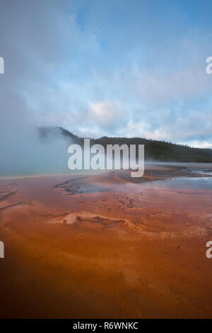 Steam rises from the Grand Prismatic Spring area of Yellowstone National Park in Wyoming at sunrise. USA Stock Photo