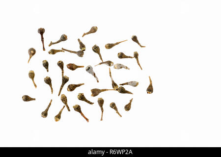 Cubeb or Java Pepper Stock Photo